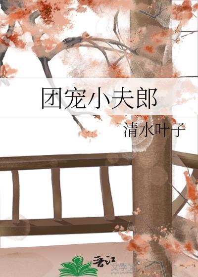 团宠小夫郎清水叶子最新章节列表封面