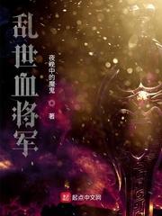 乱世名将封面
