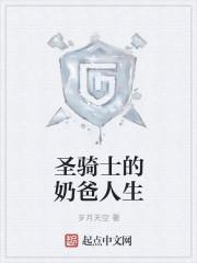 奶爸圣骑士封面