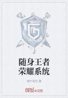 打王者荣耀随身wifi哪个好封面