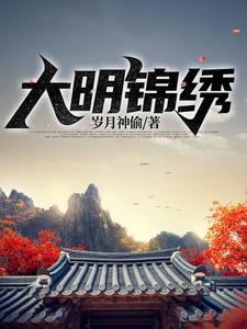 大明锦绣 兴同学封面