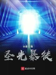 圣光暴君封面