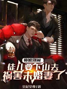 师娘让徒弟怀个娃的电视剧封面