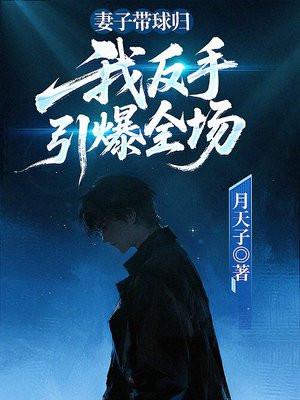妻子带球跑路封面