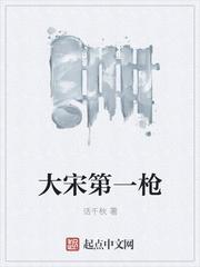 大宋第一枪免费阅读笔趣阁封面