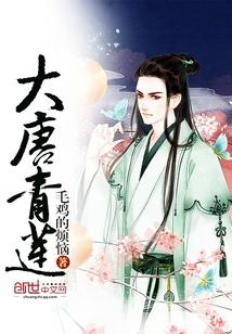 大唐qin封面