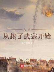 大明从揍了武宗开始 张六阳封面