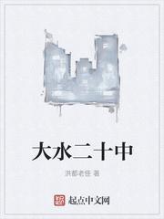 民国二十年发大水封面