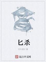 匕杀的拼音封面