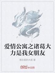 爱情公寓同人女主诸葛大力封面