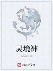 灵境神者封面