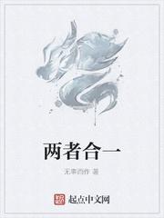 两者合一什么意思封面