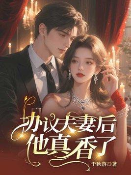 协议夫夫免费txt封面
