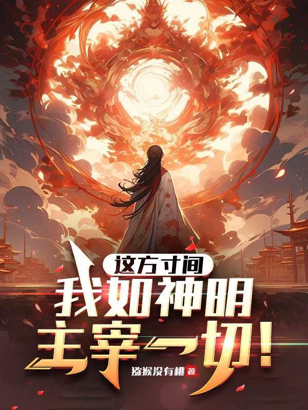 方寸之间有我无敌封面