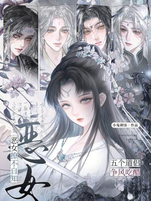 恶女晋江封面