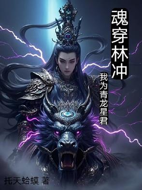 穿越我是林冲封面