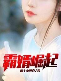 霸婿崛起 老施封面