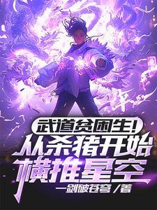武道杀伐封面
