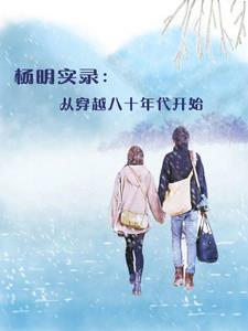 穿越80年代杨心封面