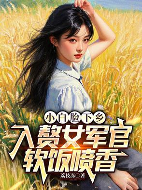 小白脸女主封面