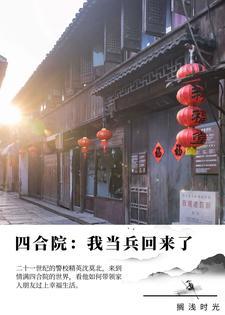 四合院我当兵回来了最封面