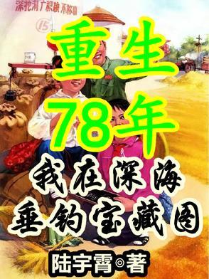 重返1978年封面