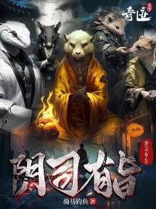 阴司有旨有声封面
