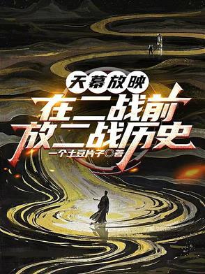 放二战历史李鸿封面