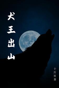 犬王后续如何封面