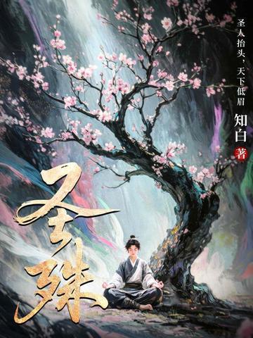 圣殊知白全文免费阅读封面