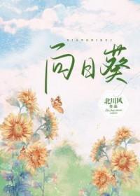 向日葵图片封面