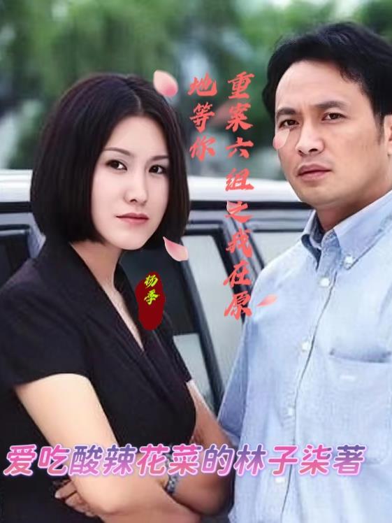 在重案六组第二部全集封面