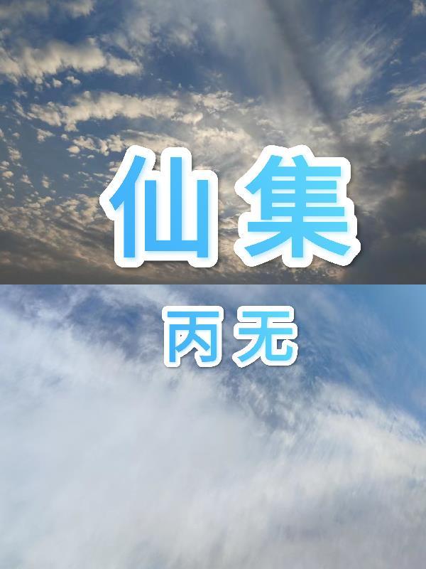 仙集封面