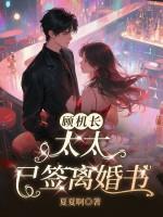 顾机长，太太已签离婚书封面