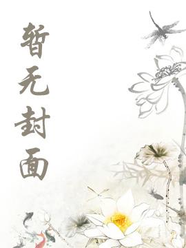 审判之翼封面