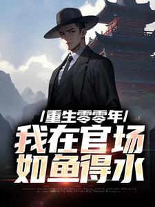 重生零零年：我在官场如鱼得水封面