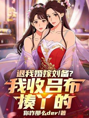 退我婚嫁刘备？我收吕布揍丫的封面