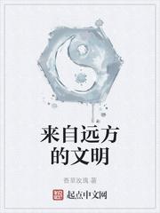 来自远方的文明封面