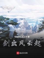 剑出风云起封面