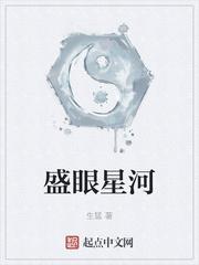 盛眼星河封面