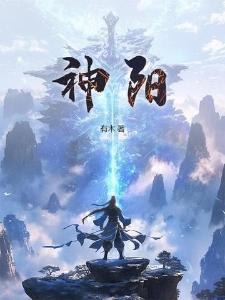 神阳封面