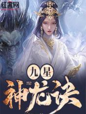 九星神龙诀封面