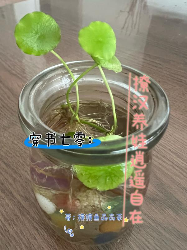 落榜考生的魔法再成记