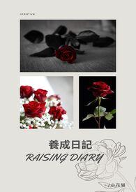 下乡的乡