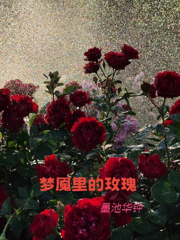 将军凶猛一朵白云原著小说未删减