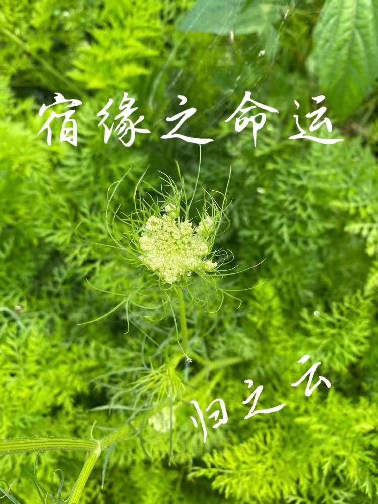李天命万古第一神