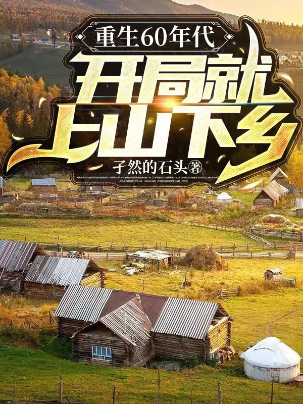 盛世缔造者一一汉孝文帝纪