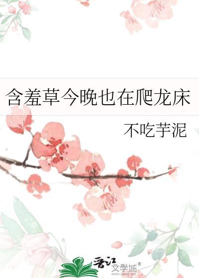 离婚之后 江砚