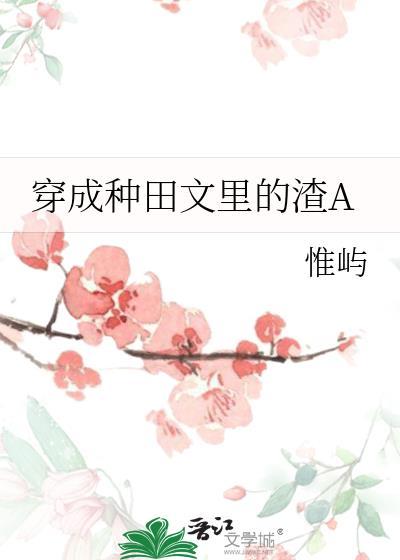 莉莉斯的账本